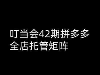 叮当会拼多多打爆班原创高阶技术第42期，拼多多全店托管矩阵-万利网