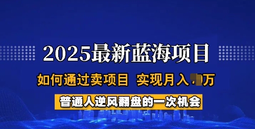 2025蓝海项目，普通人如何通过卖项目，实现月入过W，全过程【揭秘】-万利网