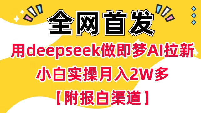 用deepseek做即梦Ai拉新 小白实操月入过W+【附报白渠道】-万利网