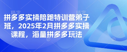 拼多多实操陪跑特训营弟子班，2025年2月拼多多实操课程，海量拼多多玩法-万利网