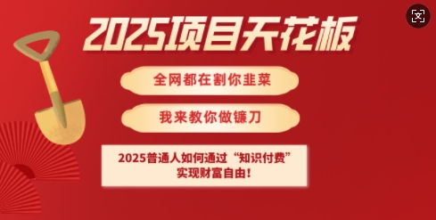2025项目天花板普通人如何通过知识付费，实现财F自由【揭秘】-万利网