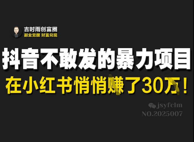 抖音不敢发的暴利项目，在小红书悄悄挣了30W-万利网