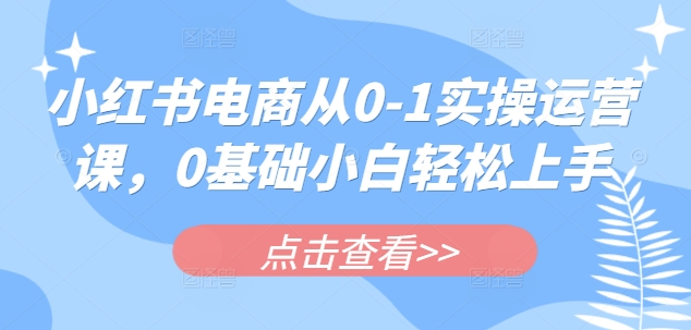 小红书电商从0-1实操运营课，0基础小白轻松上手-万利网