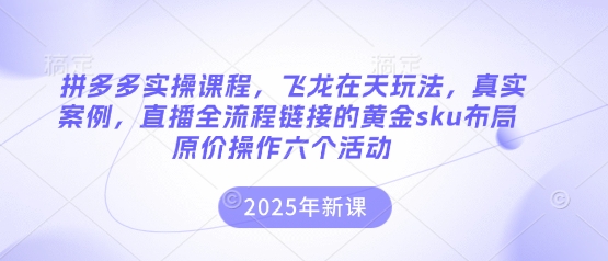 拼多多实操课程，飞龙在天玩法，真实案例，直播全流程链接的黄金sku布局原价操作六个活动-万利网