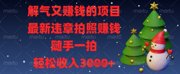 解气又挣钱的项目，最新违章拍照挣钱，随手一拍，轻松收入数张【揭秘】-万利网