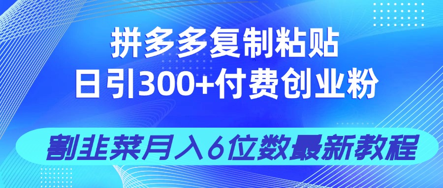 拼多多复制粘贴日引300+付费创业粉，割韭菜月入6位数最新教程！-万利网