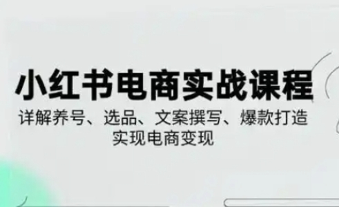 小红书从0-1实操课(2023-2025)，详解养号、选品、文案撰写、爆款打造实现电商变现-万利网