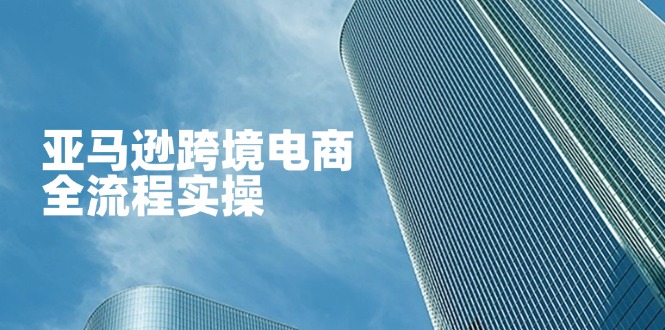 亚马逊跨境电商全流程实操，教你从零开始，掌握店铺运营与广告技巧-万利网