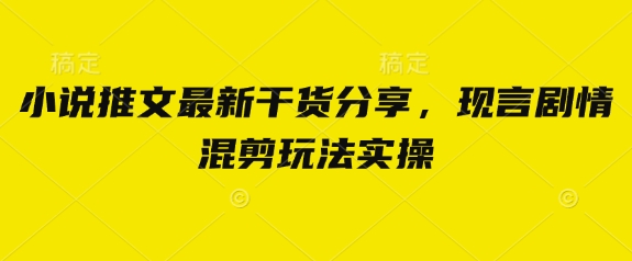 小说推文最新干货分享，现言剧情混剪玩法实操-万利网