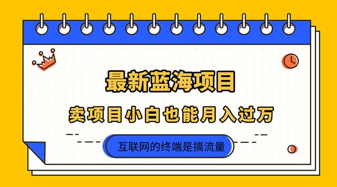 2025年最新蓝海项目，卖项目小白也能月入过万-万利网