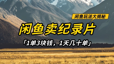 闲鱼卖纪录片1单3块钱，1天几十单，项目稳定有潜力-万利网