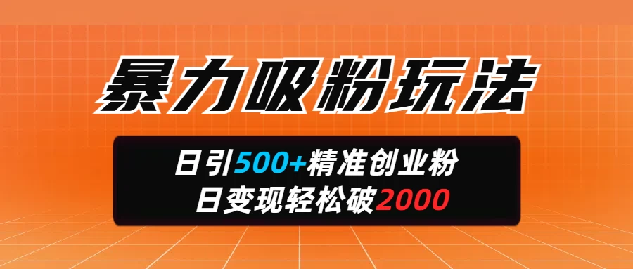 暴力吸粉玩法，日引500+精准创业粉，日变现轻松破2000-万利网