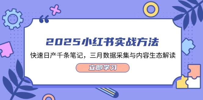2025小红书实战方法，快速日产千条笔记，三月数据采集与内容生态解读-万利网