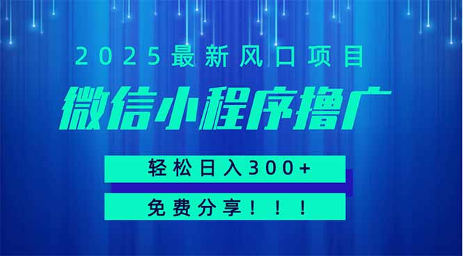 微信小程序撸广，最新风口项目，日入300+ 免费分享 可批量操作 小白可…-万利网