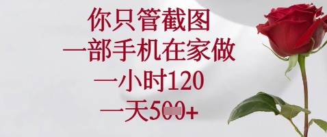 你只管截图，一部手机在家做，苹果安卓都可以，一小时120，一天5张+【揭秘】-万利网