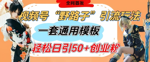 视频号“野路子”玩法，评论区疯狂截流，一套模板单日单号引流50+创业粉-万利网