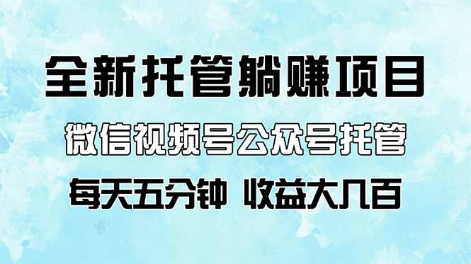全新托管躺赚项目，微信视频号公众号托管代运营，每天五分钟，收益大几百-万利网