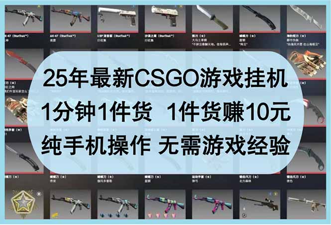 25年最新CSGO游戏挂机，1分钟1件货，1件货赚10元 纯手机操作 无需游戏经验-万利网
