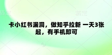 卡小红书漏洞，做知乎拉新 一天3张起，有手机即可-万利网