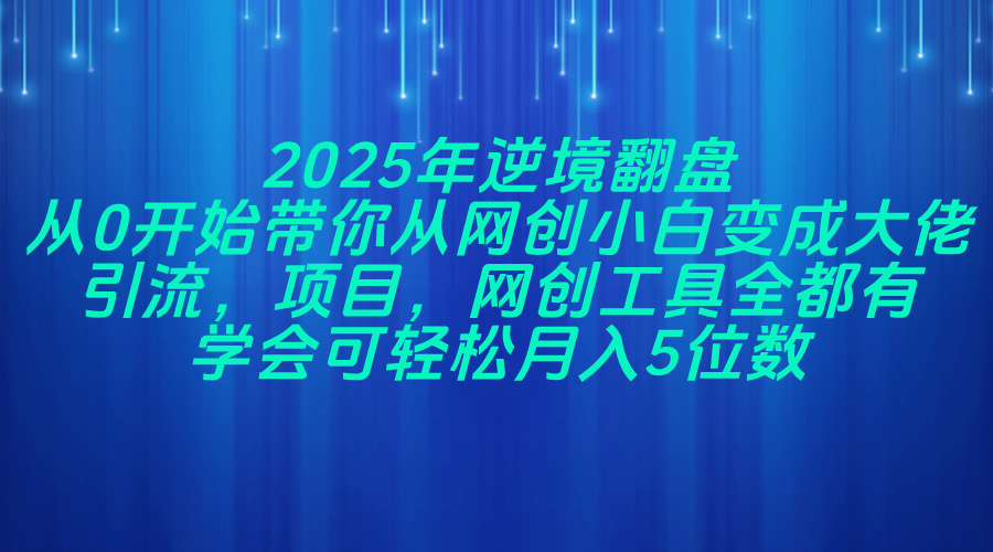 2025年逆境翻盘，从0开始带你从网创小白变成大佬，引流，项目，网创工…-万利网