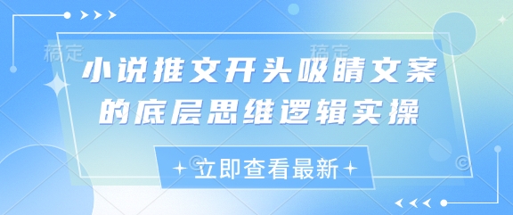 小说推文开头吸睛文案的底层思维逻辑实操-万利网