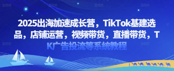 2025出海加速成长营，TikTok基建选品，店铺运营，视频带货，直播带货，TK广告投流等系统教程-万利网