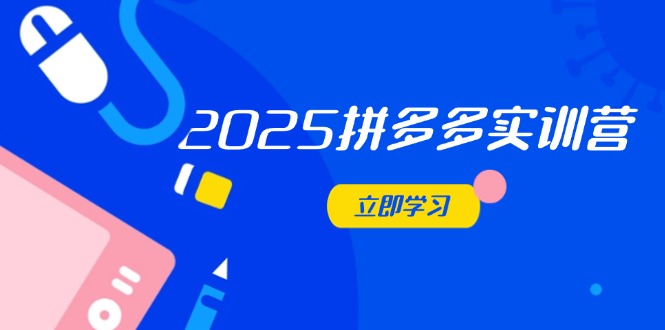 2025拼多多实训营：深度剖析运营关键，助力电商人快速提升-万利网